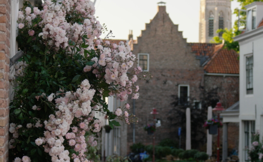 Sint Janstraat